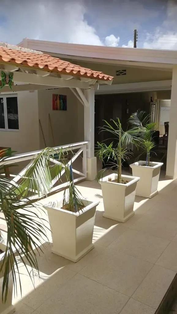 Terras met plantenbakken en palmen